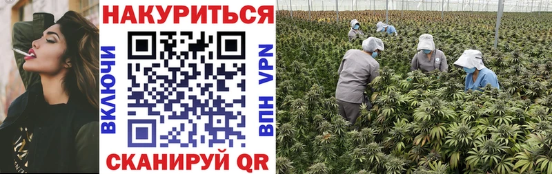Купить КОКАИН  Псилоцибиновые грибы  МЕФ  Альфа ПВП  Гашиш  Экстази  Бошки Шишки  Дыгулыбгей