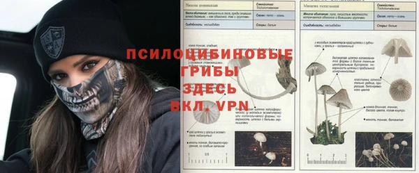 эйфоретик Михайловка
